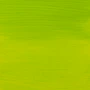 Amsterdam Acrylic Paint (Special Order) Yellowish Green 1L - Image 3