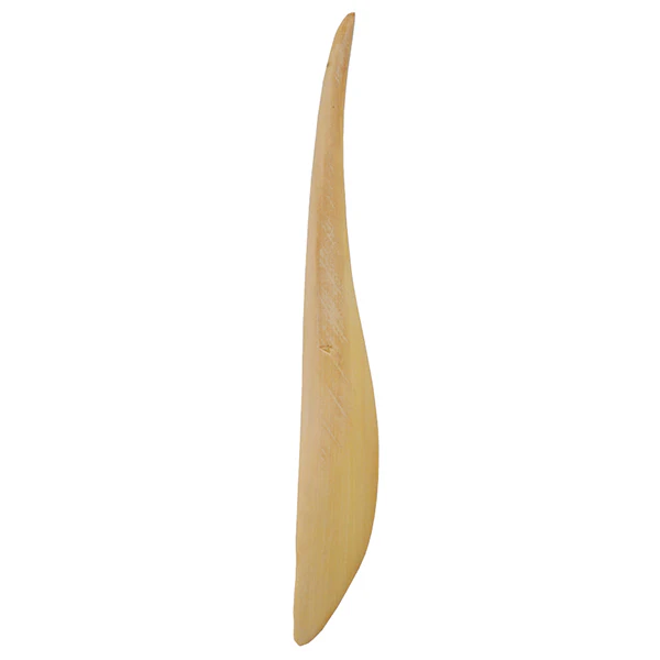 Boxwood Modelling Tools - Image 3