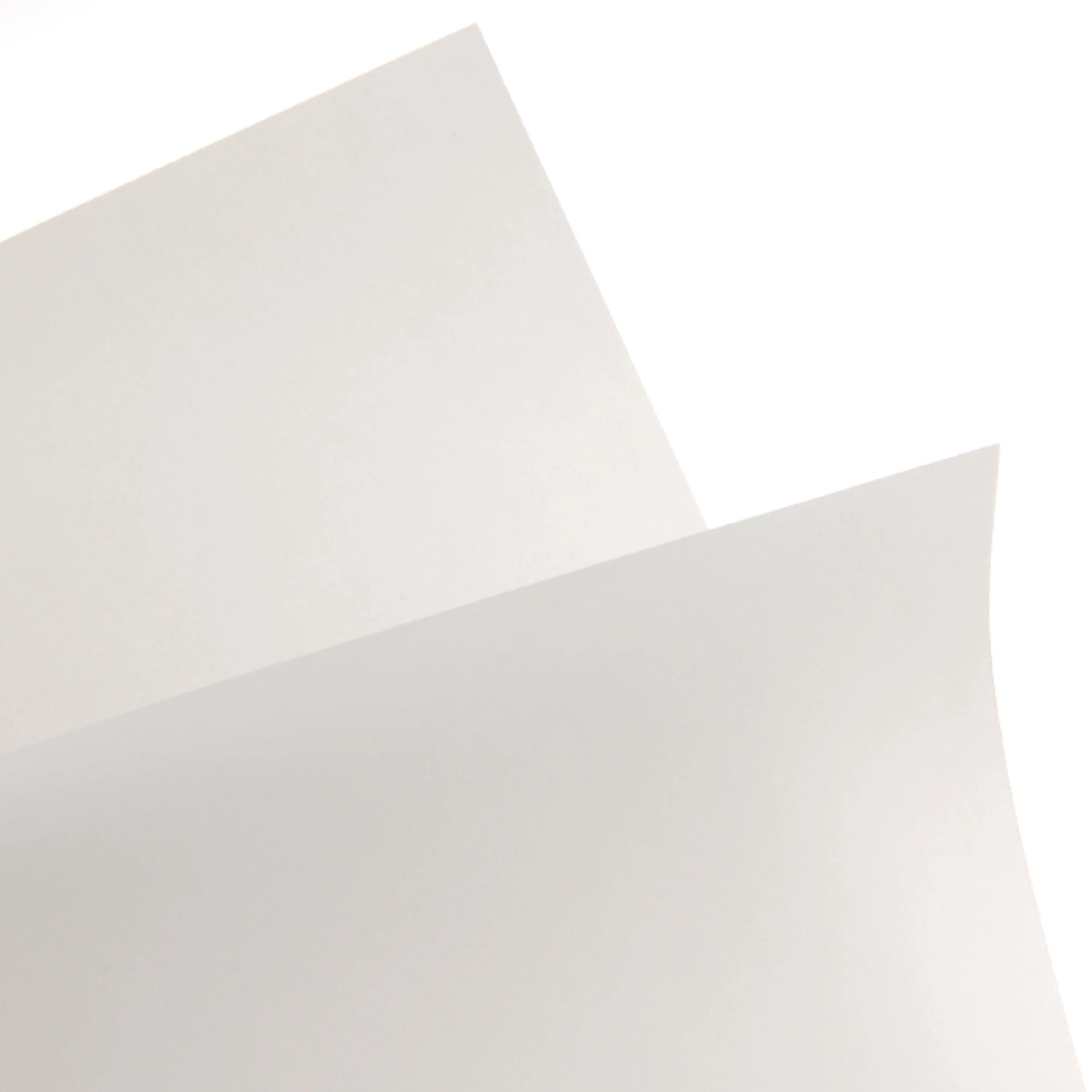 Canson Vidalon Vellum Sheet 19" x 25"