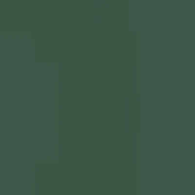 Caran d'Ache Luminance 6901® Colour Pencils - Brown or Green - Image 30
