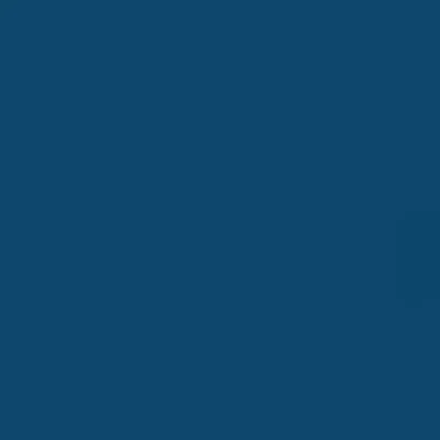 Caran d'Ache Neocolor II - Black or Grey or Blue - Image 14