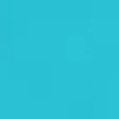 Caran d'Ache Neocolor II - Black or Grey or Blue - Image 17
