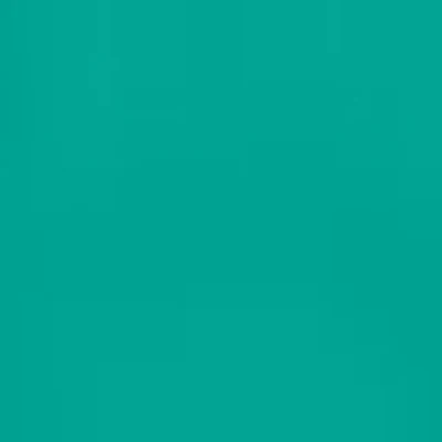 Caran d'Ache Neocolor II - Black or Grey or Blue - Image 18