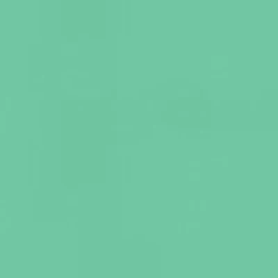 Caran d'Ache Neocolor II - Brown or Green - Image 16
