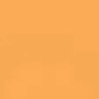 Caran d'Ache Neocolor II - White or Yellow - Image 6