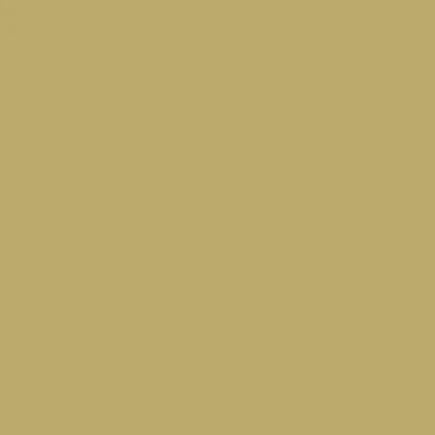 Caran d'Ache Neocolor II - White or Yellow - Image 8