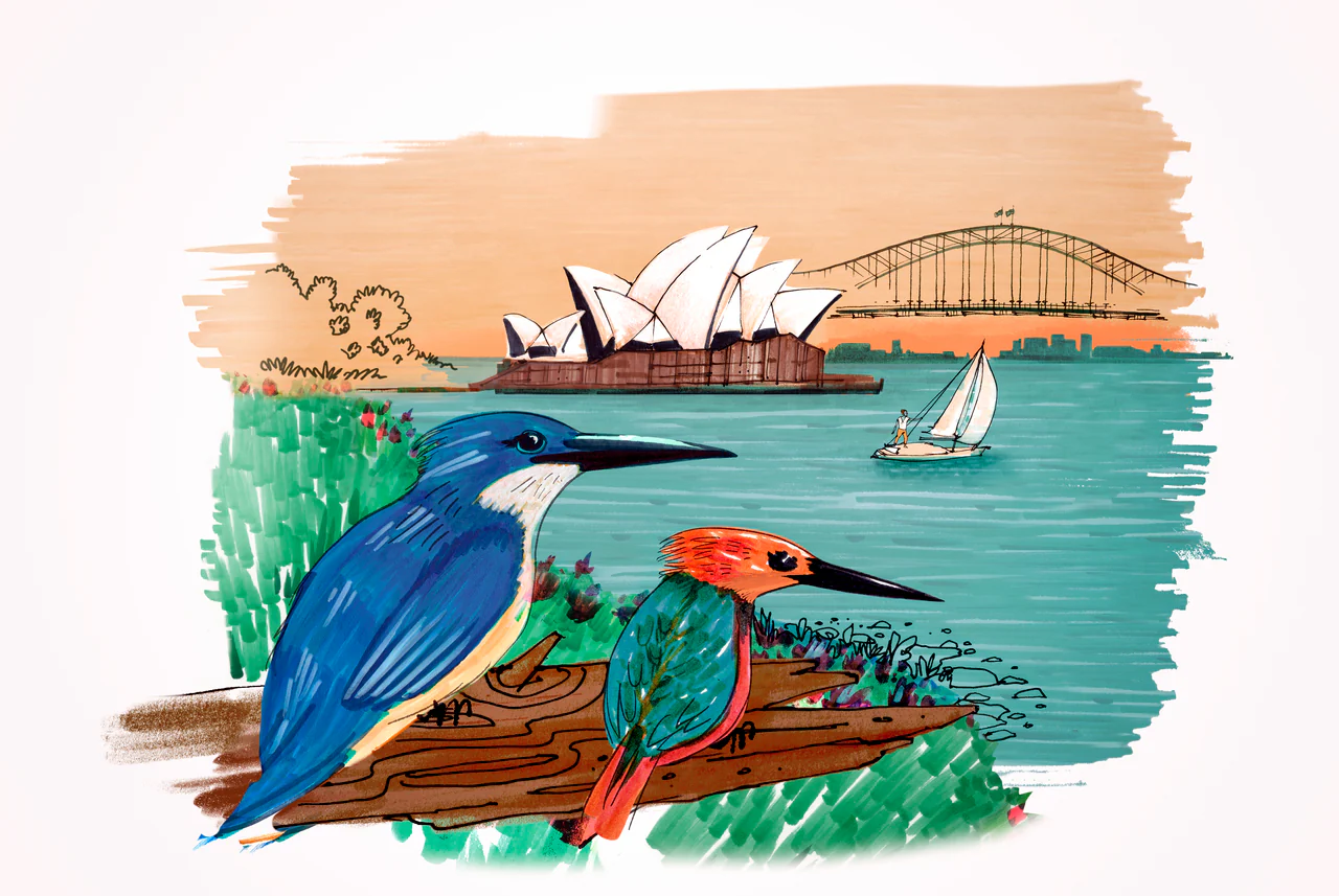Faber-Castell Pitt Artist Pen City Set of 12 Sydney - Image 4