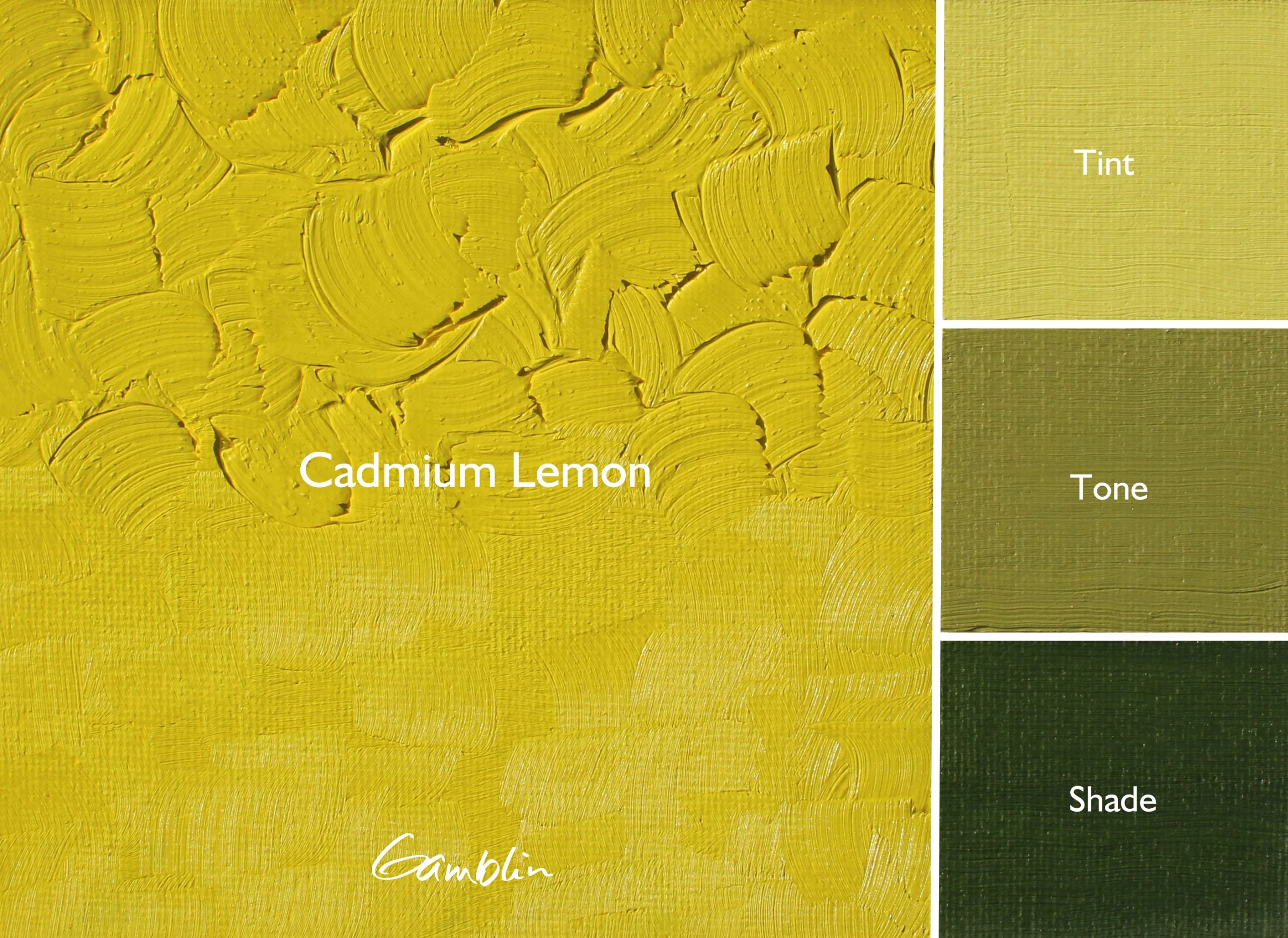 Gamblin 1980 Oil Paints - Image 57