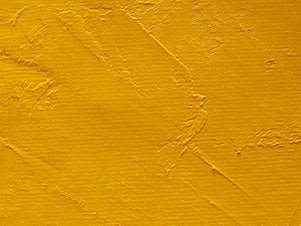 Gamblin Artist's Oil Colors - White or Yellow - Image 4