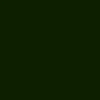 GOLDEN Fluid Acrylics -  Brown or Green - Image 21