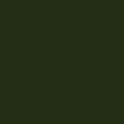 GOLDEN Fluid Acrylics -  Brown or Green - Image 42