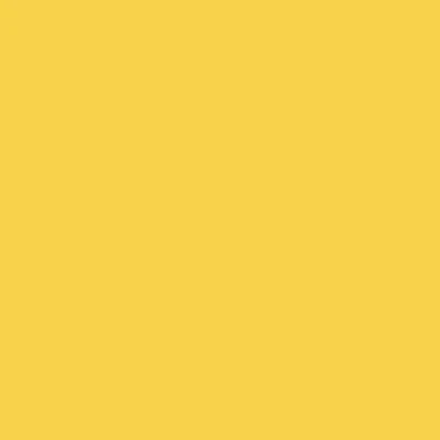 GOLDEN Fluid Acrylics -  White or Yellow - Image 41