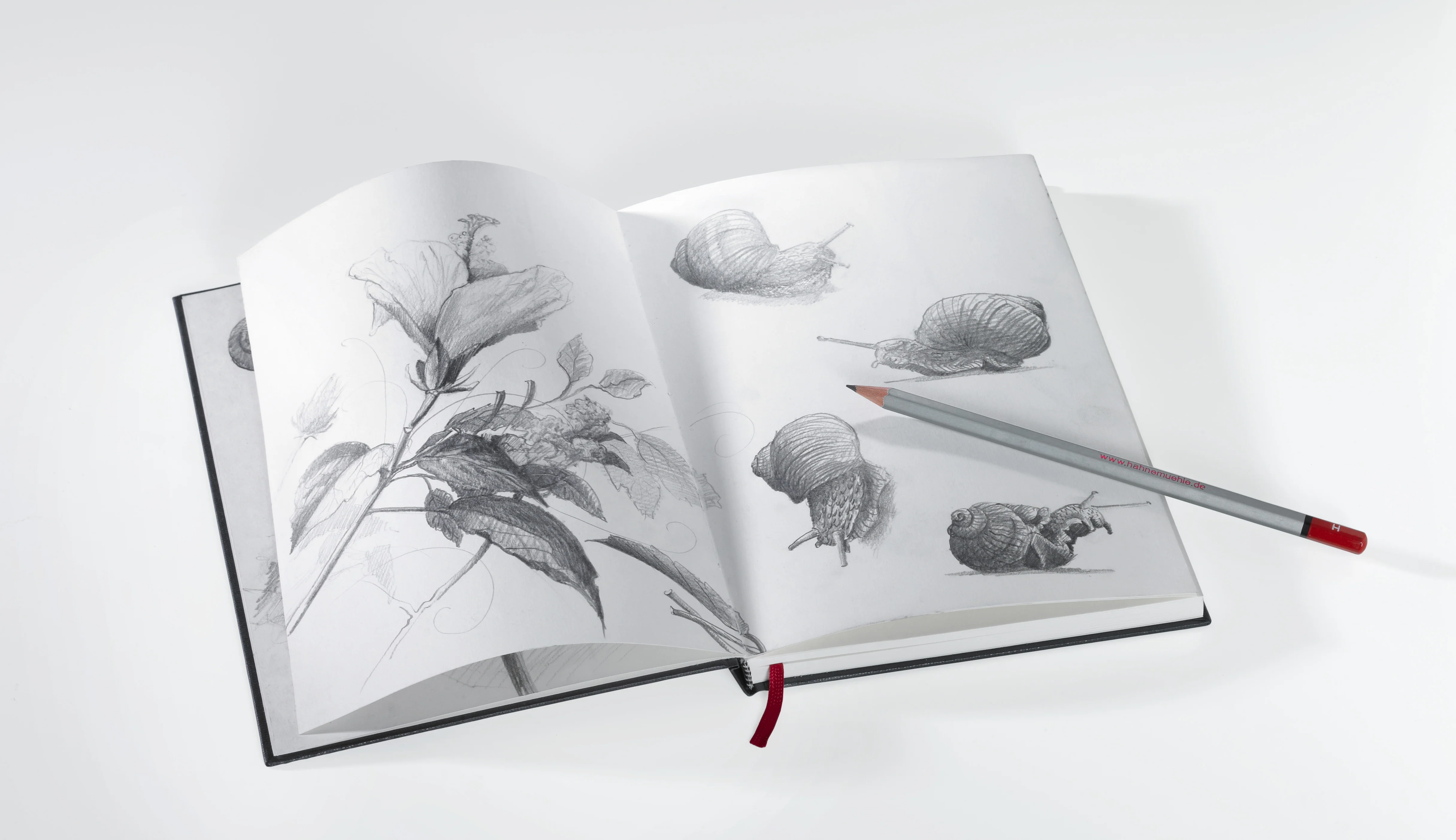 Hahnemühle® Nostalgie Sketchbook 190gsm Landscape A5 - Image 4
