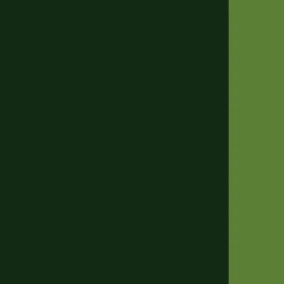 Holbein Artists' Oils - Brown or Green - Image 6