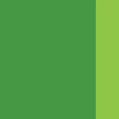 Holbein Artists' Oils - Brown or Green - Image 8