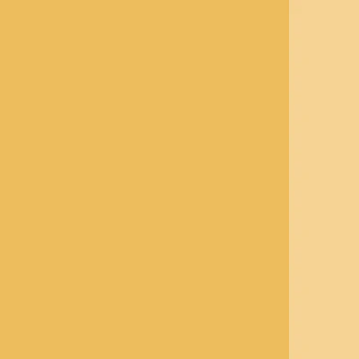 Holbein Artists' Oils - White or Yellow - Image 2
