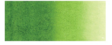 Holbein Artist's Watercolors - Brown or Green - Image 11