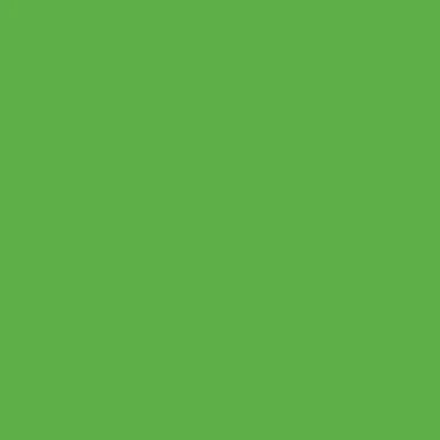 Holbein DUO Aqua Oils - Brown or Green - Image 18