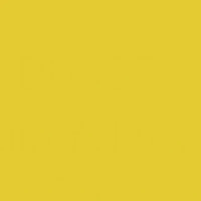 Holbein DUO Aqua Oils - White or Yellow - Image 15