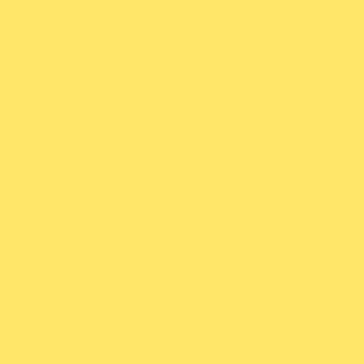 Montana BLACK Spray Paints - White or Yellow & Other Colours - Colours - Image 2