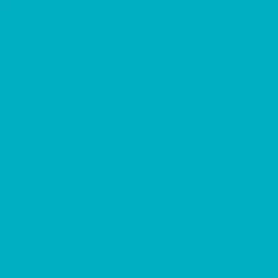 Montana GOLD Spray Paints - Clearance - Image 53