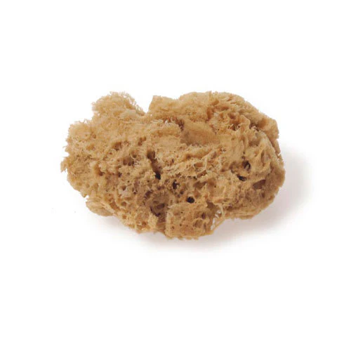 Natural Sponges - Image 2