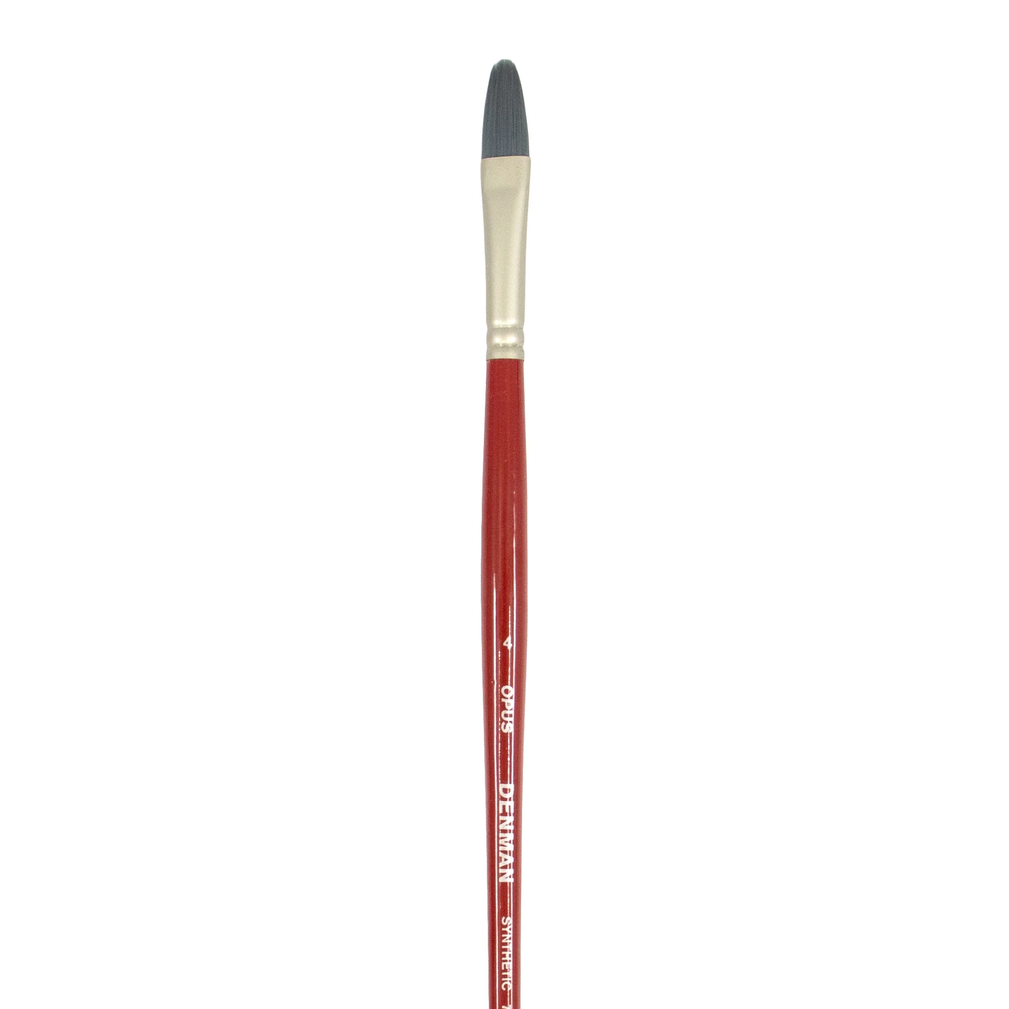 Opus Denman Long Handle Brushes - Image 4