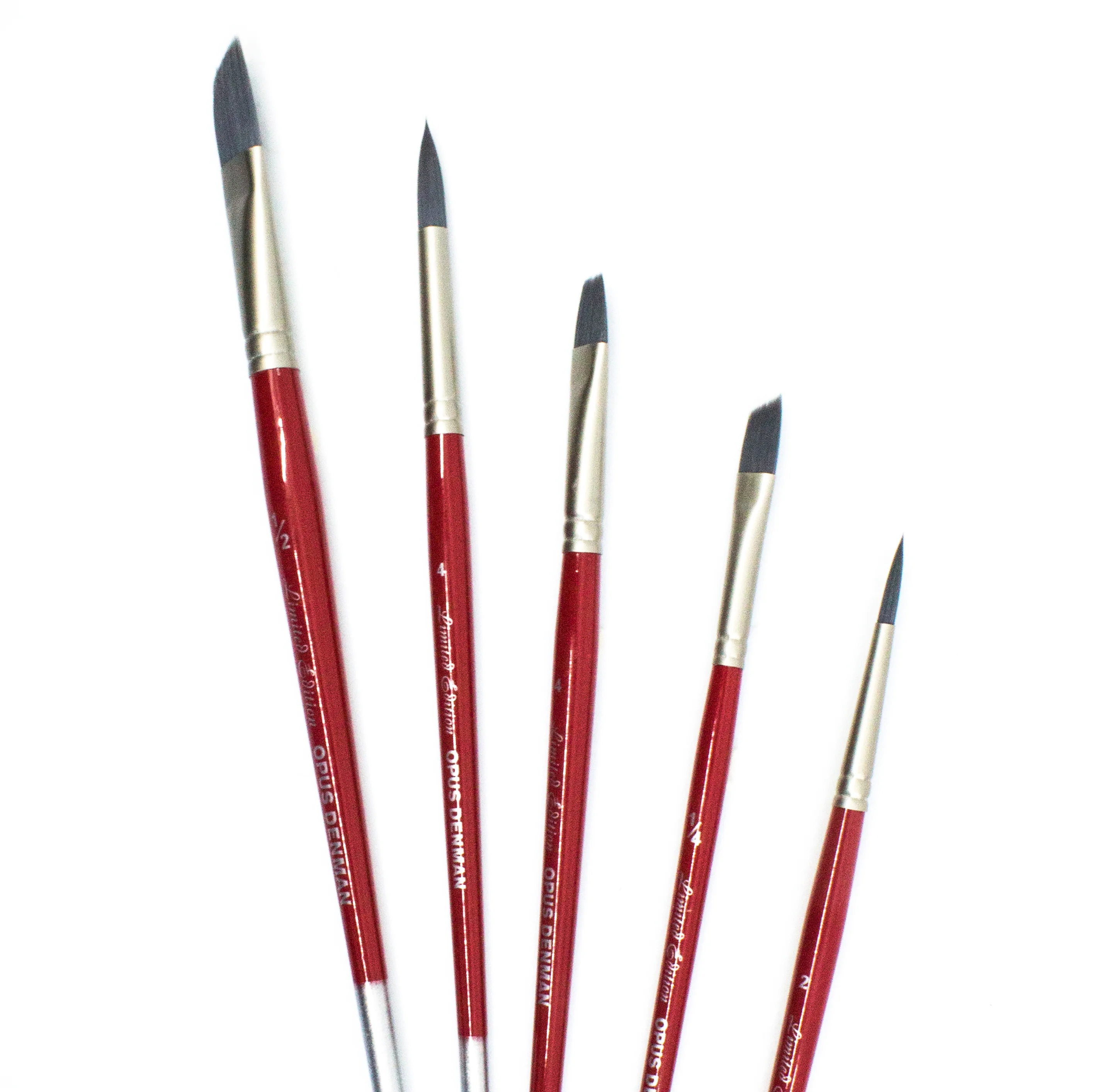 Opus Denman Short Handle Brushes - Image 4