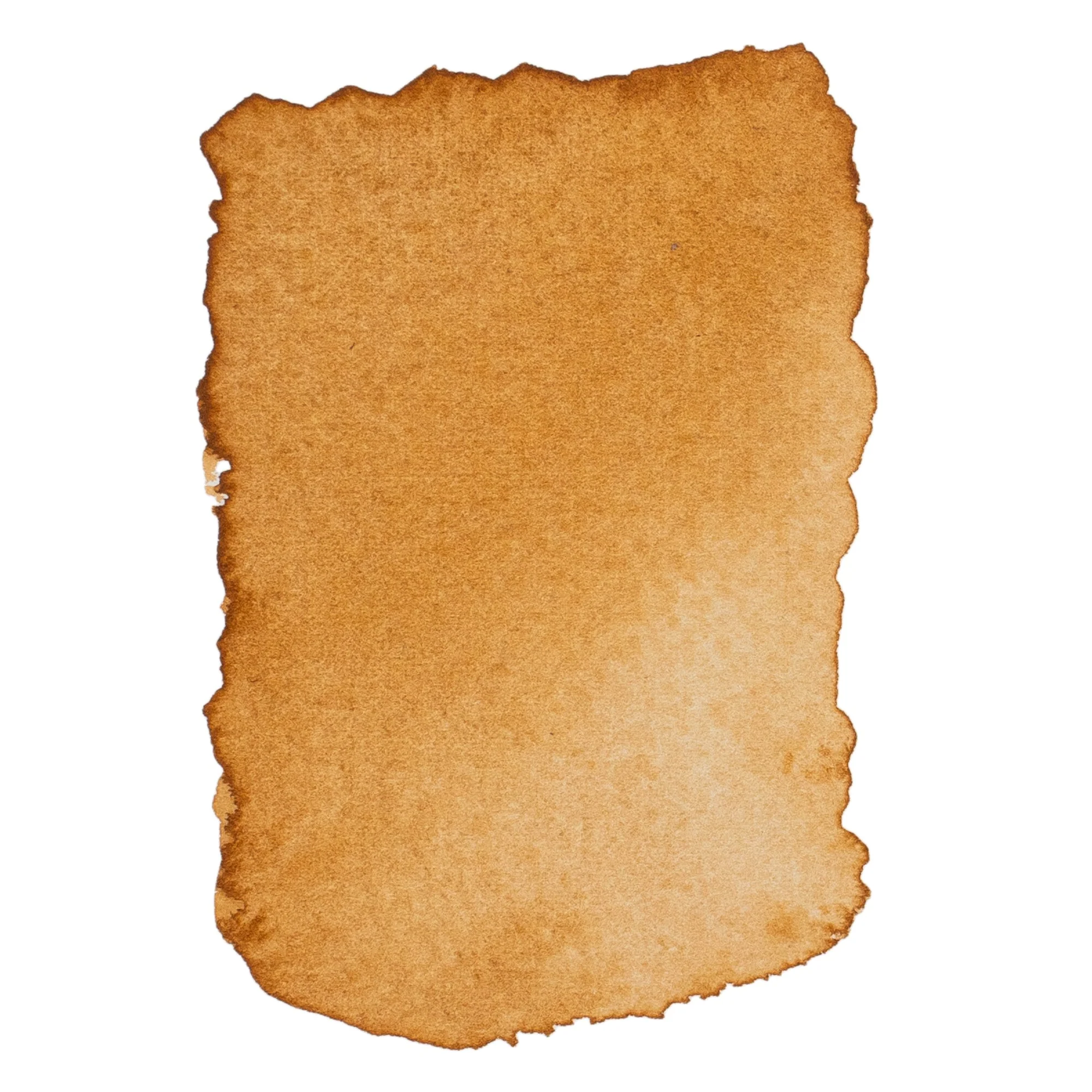 Opus Essential Watercolours - 8ml - Image 9