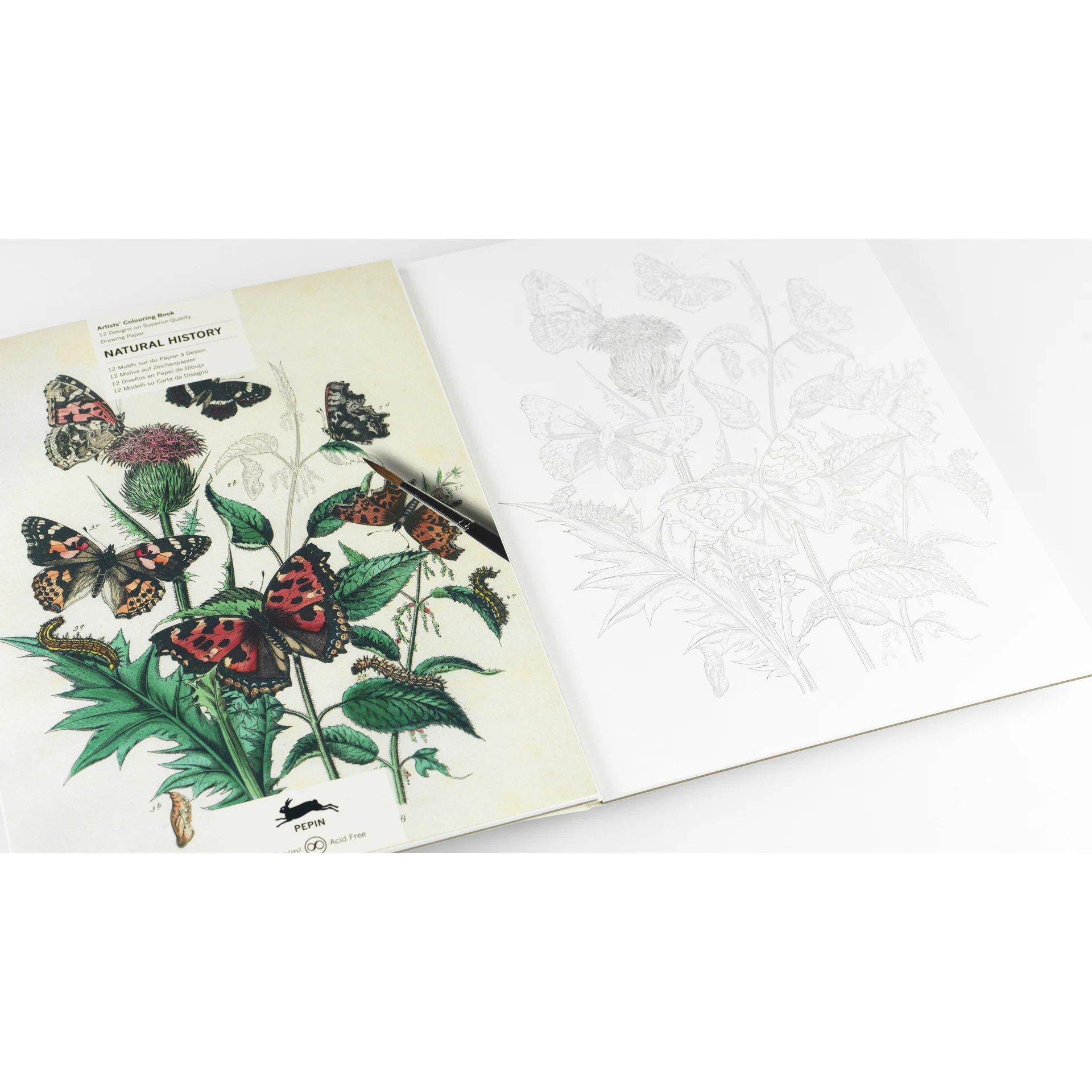 Pepin Press Artists' Colouring Book - Natural History - Image 5