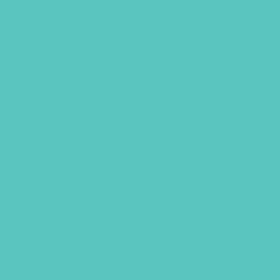 Rembrandt Soft Pastels - Brown or Green - Image 13