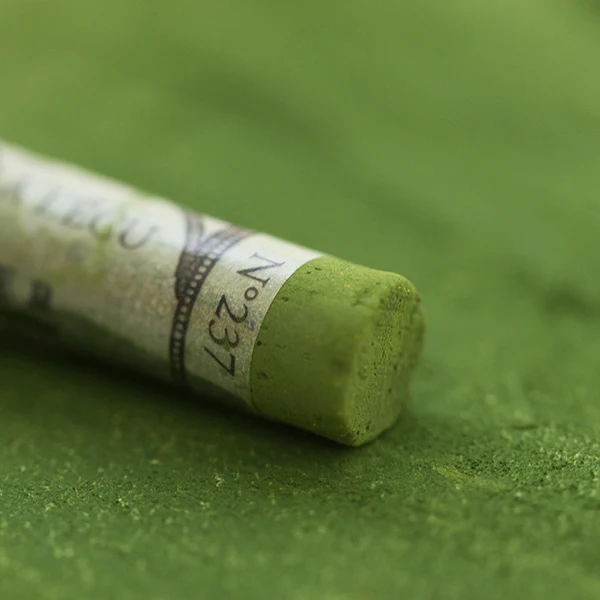 Sennelier Soft Pastels - Brown or Green - Image 47