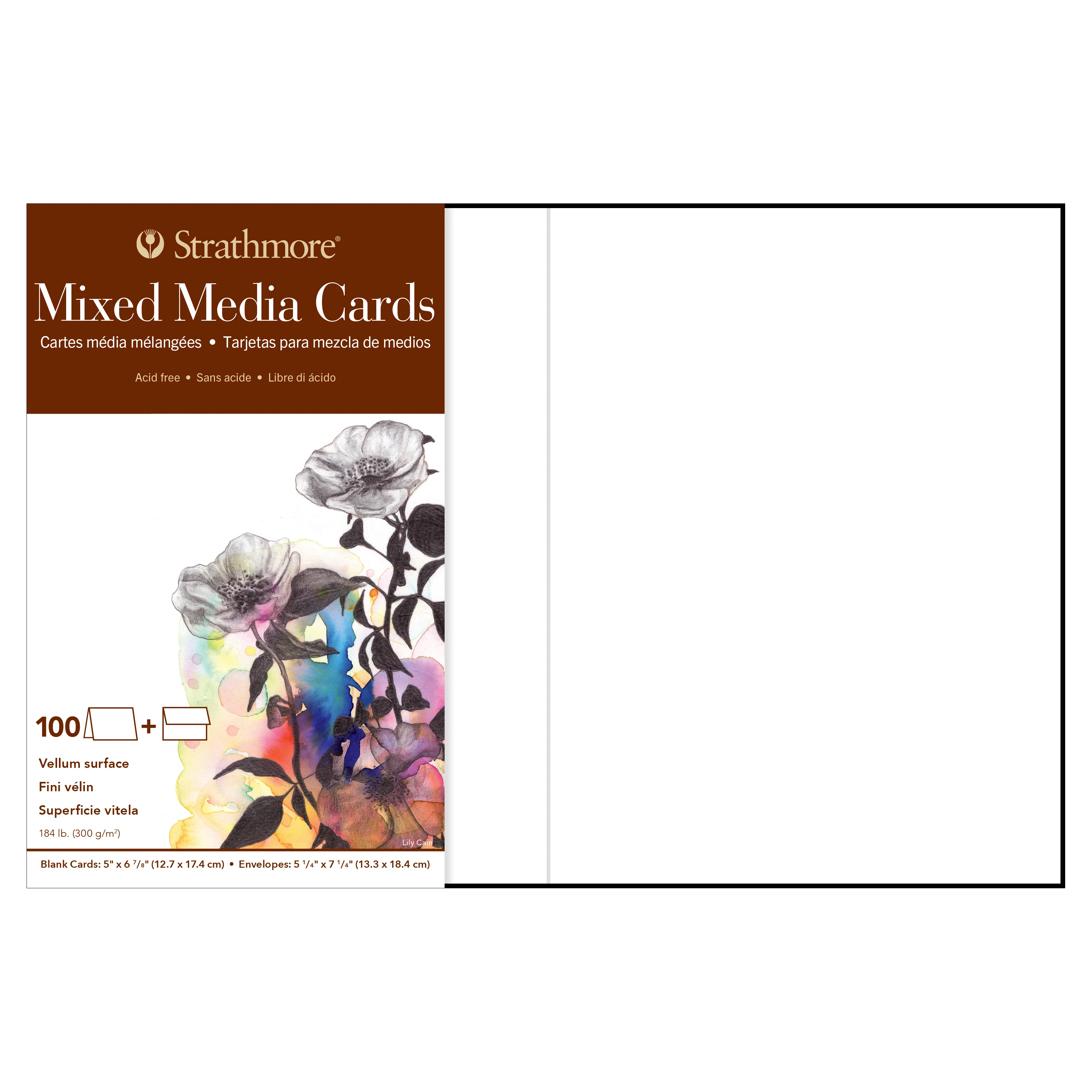 Strathmore Mixed Media Cards & Envelopes - Image 2