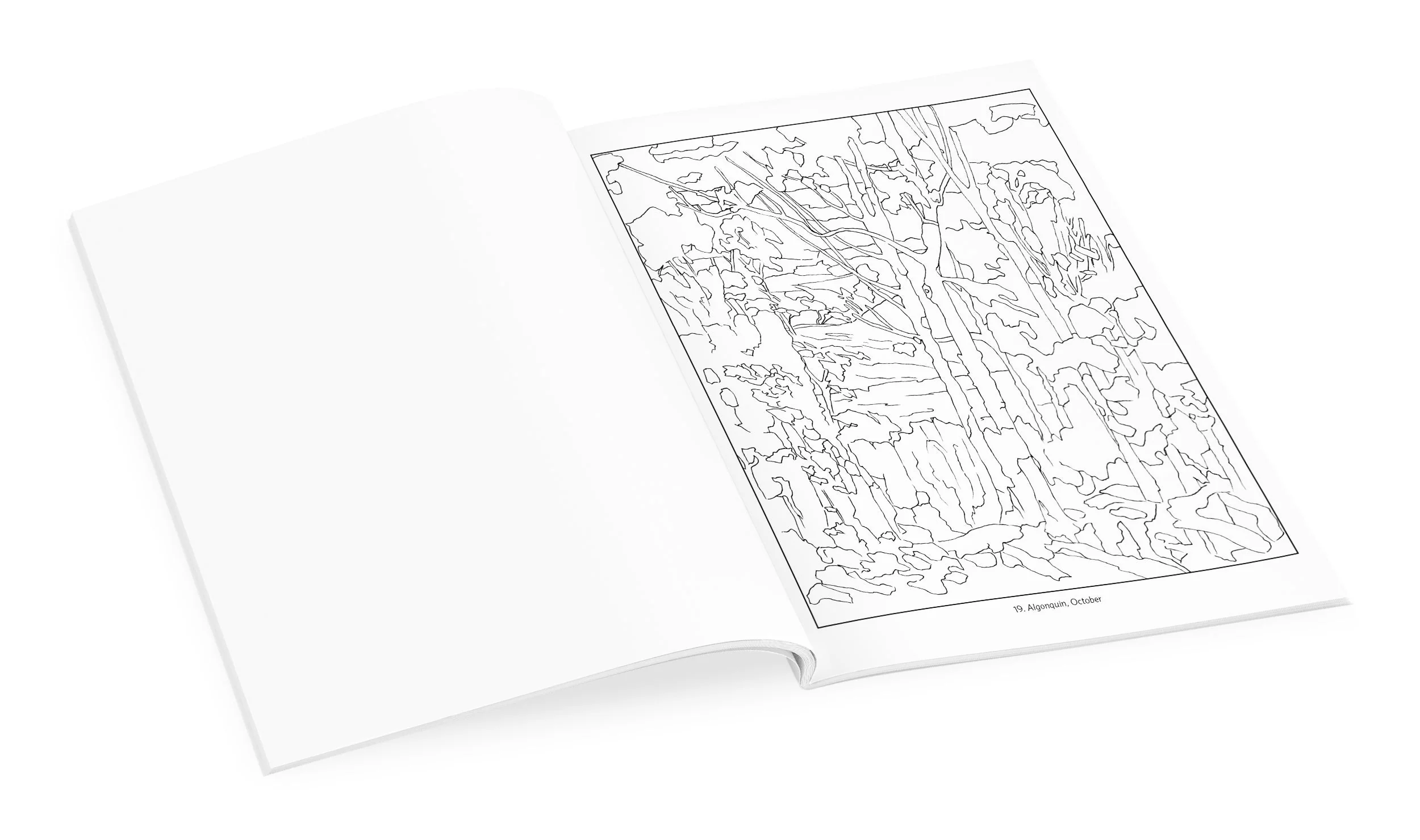 Tom Thomson Coloring Book - Clearance - Image 3