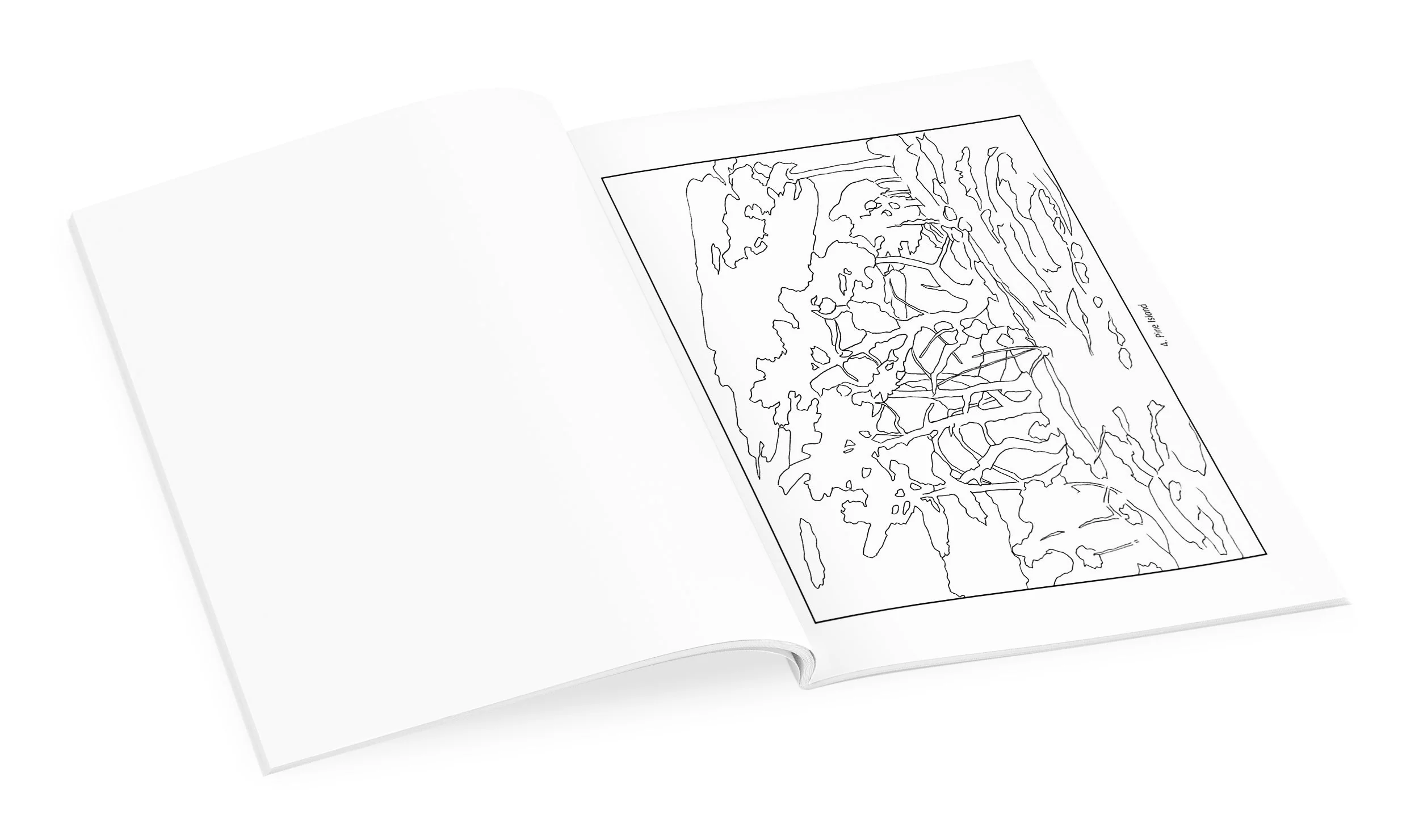 Tom Thomson Coloring Book - Clearance - Image 4