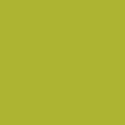 Tombow Dual Brush Pens - Brown or Green - Image 6