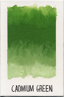 Williamsburg Oils - Brown or Green - Image 8