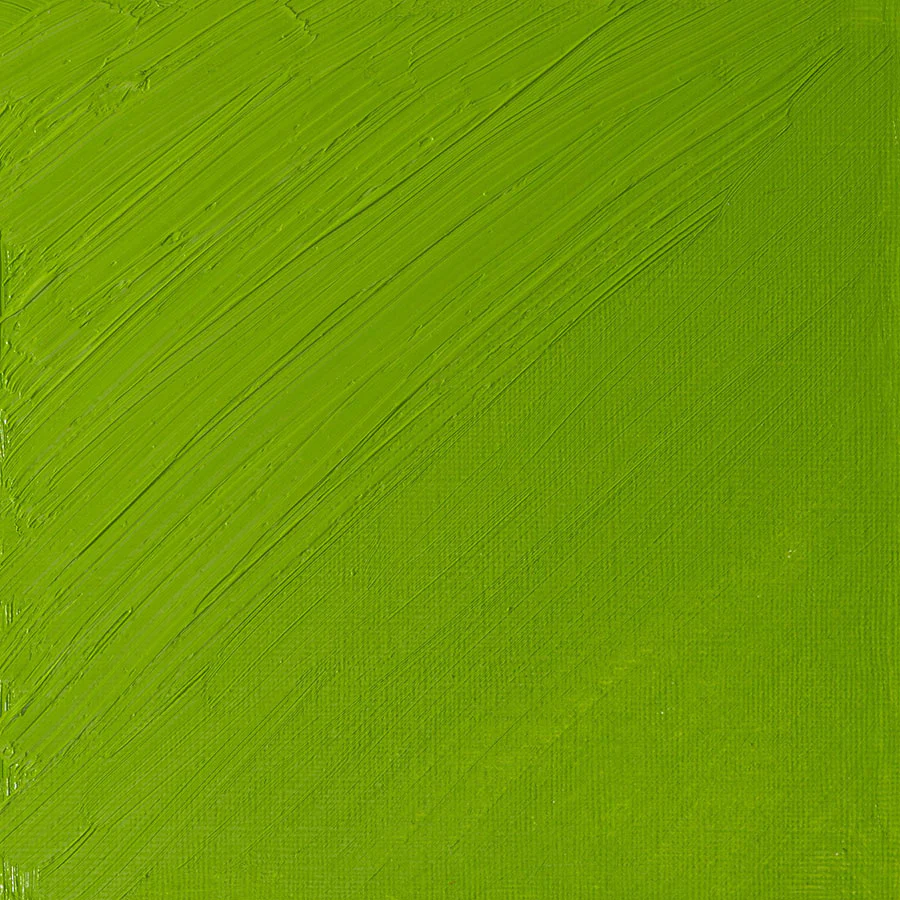 Winsor & Newton Artists' Oil Colours - Brown or Green - Image 6