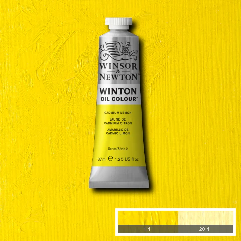 Winton Oil Colours - White or Yellow - Image 15