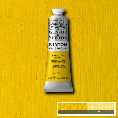 Winton Oil Colours - White or Yellow - Image 19